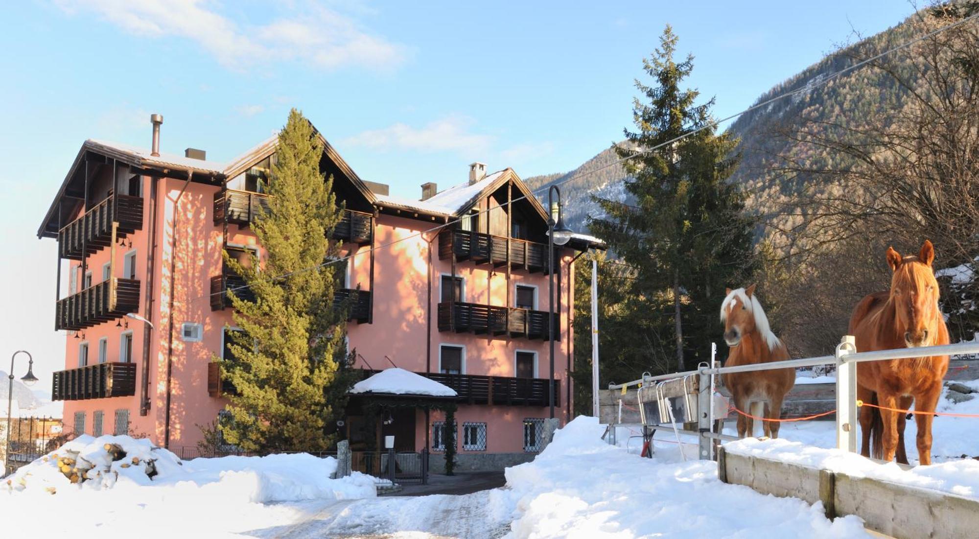 Park Hotel Bellevue Dimaro Bagian luar foto