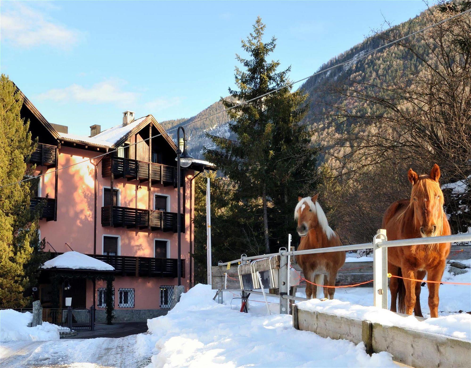 Park Hotel Bellevue Dimaro Bagian luar foto
