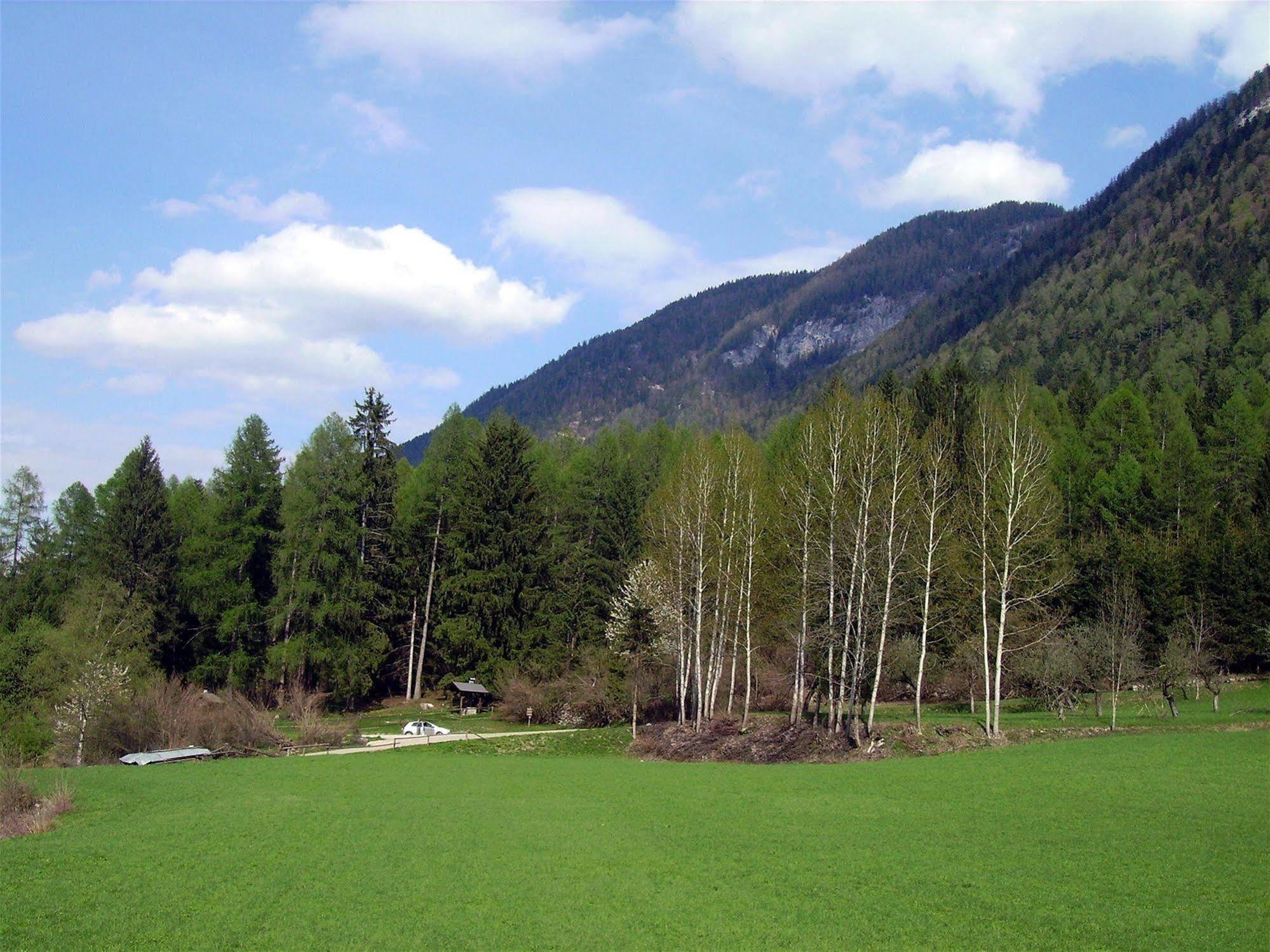 Park Hotel Bellevue Dimaro Bagian luar foto