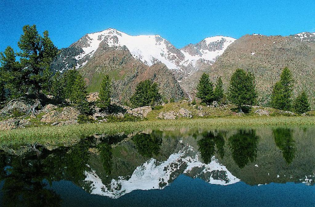Park Hotel Bellevue Dimaro Bagian luar foto